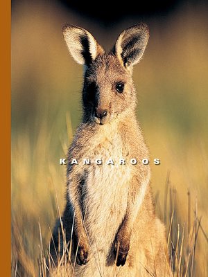 cover image of Kangaroos